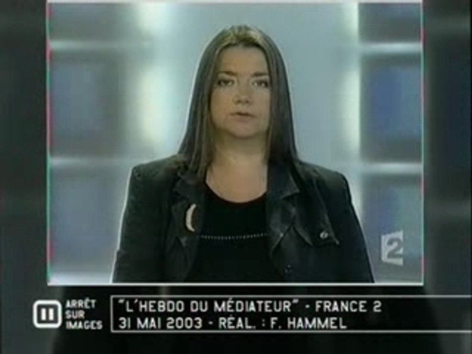 Affaire Alègre : Bouquillat (France2) - 2