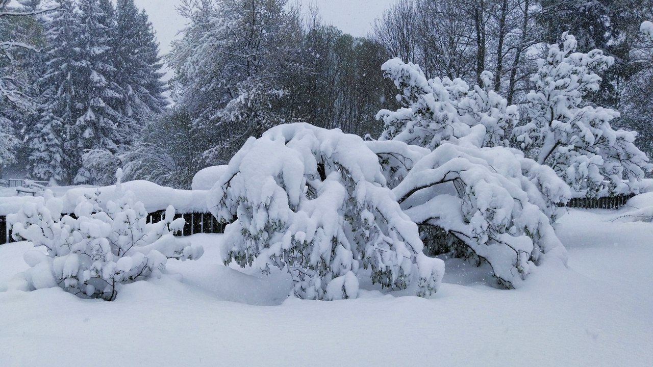 20/04/2017 - Später Wintereinbruch + Schneemassen @ Ostösterreich (AUT)