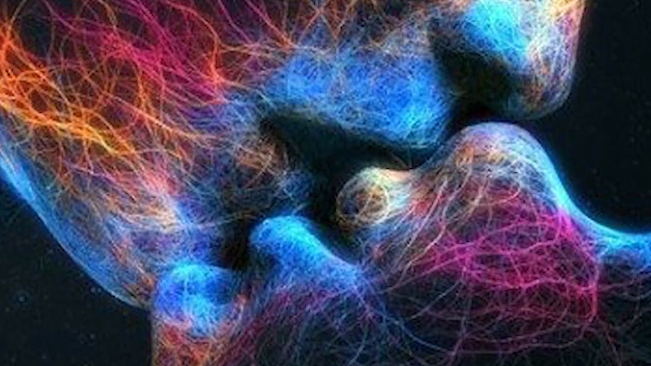 lennyeisela