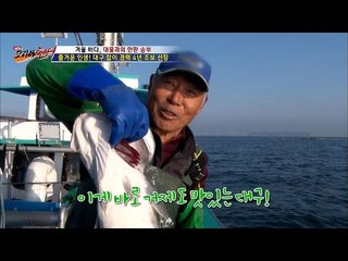 겨울 바다, 대물 대구와의 한판 승부! [뉴 코리아 헌터] 31회 20170102