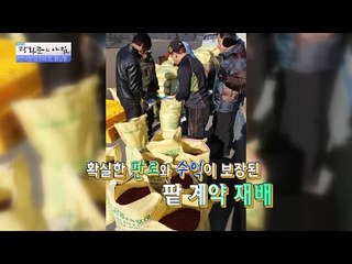 고즈넉한 경주의 맛, 황남빵 속 농민이야기 [광화문의 아침] 393회 20170103