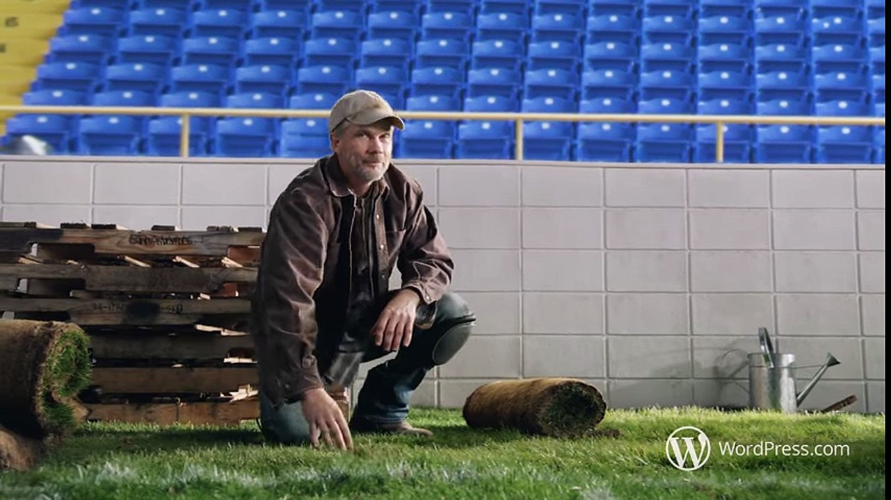 Goal Fernando Torres Final Euro2008 Spain vs Germany 1-0