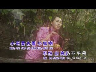 湛爱铃Irene Tam - 经典魅力恋歌IV【原鄉情濃】