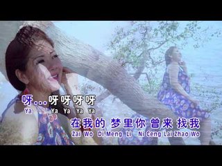 湛爱铃Irene Tam - 经典魅力恋歌IV【晴时多云偶阵雨】