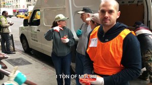 Earth Day 2017 - Cleaning & Mulching New York City