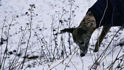 VD 오피쓰 동대문오피 동대문건마 동대문휴게텔 동대문키스방 동대문마사지