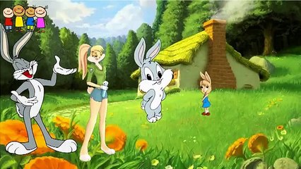 Cartoons for Kids   Cabbage Finger Family RhymEnglish   Family Finger Song