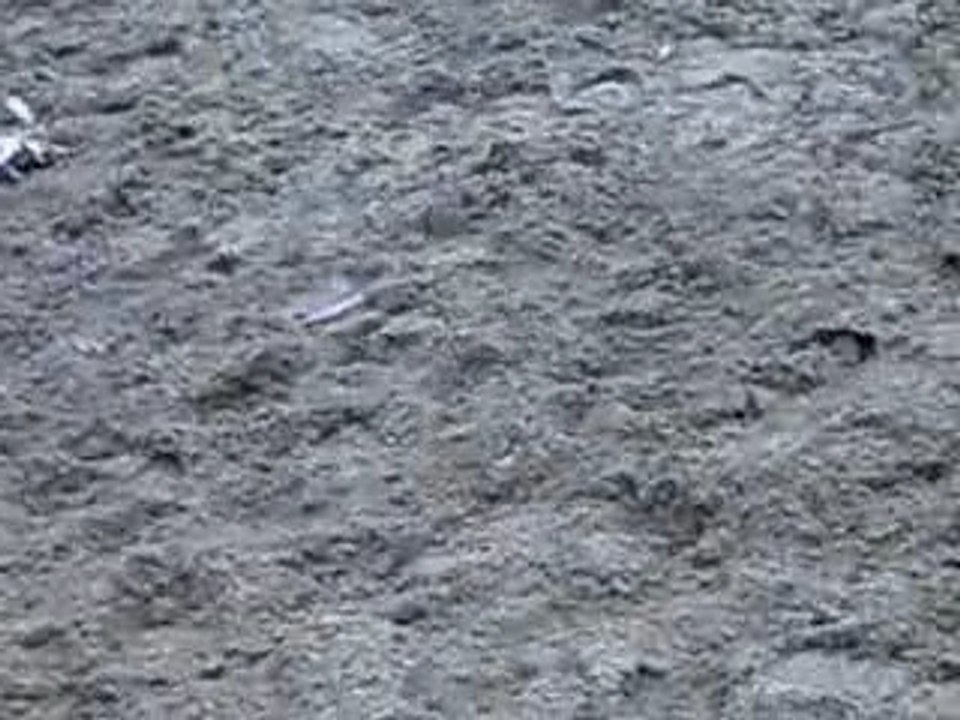 Photo du concour du 30.09.2007 054