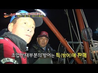 대방어의 몸값은 600만원?! [뉴 코리아 헌터] 31회 20170102