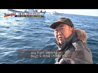 낚싯줄을 끊어버리는 방어! [뉴 코리아 헌터] 31회 20170102