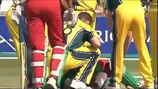 Top 10 Killer Bouncer on Face in Cricket  ► Batsman gets Injured ◄