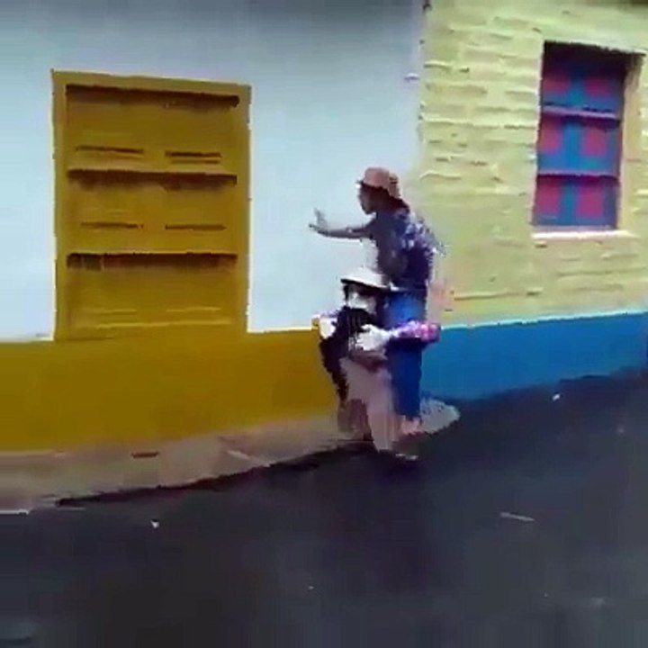 LOLS - Hahaha Welldone -P -D Love this Pupper and his Act