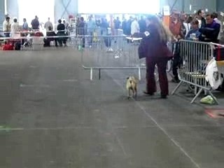 Tours 09 07 max et julie