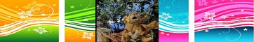 Between the Lions 5x01 Pigs, Pigs, Pigs; The Three Little Pigs