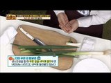 대파 푸른 잎 활용법! [만물상 173회] 20170101