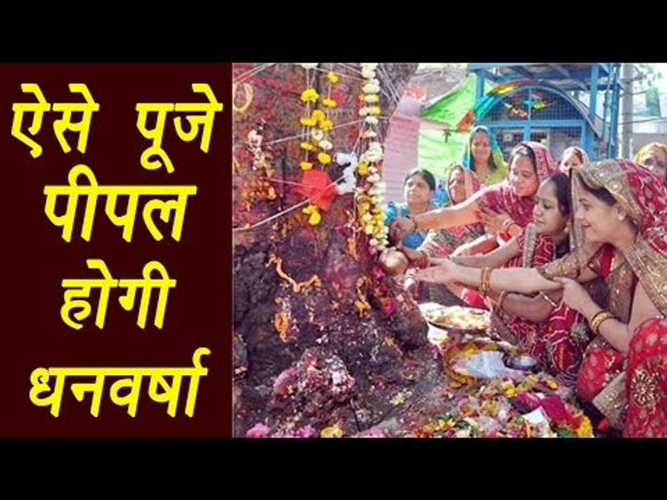 Peepal Puja vidhi, कैसे करें पीपल की पूजा  | Astro Tips | ऐसे पूजे पीपल, होगी धनवर्षा | Boldsky