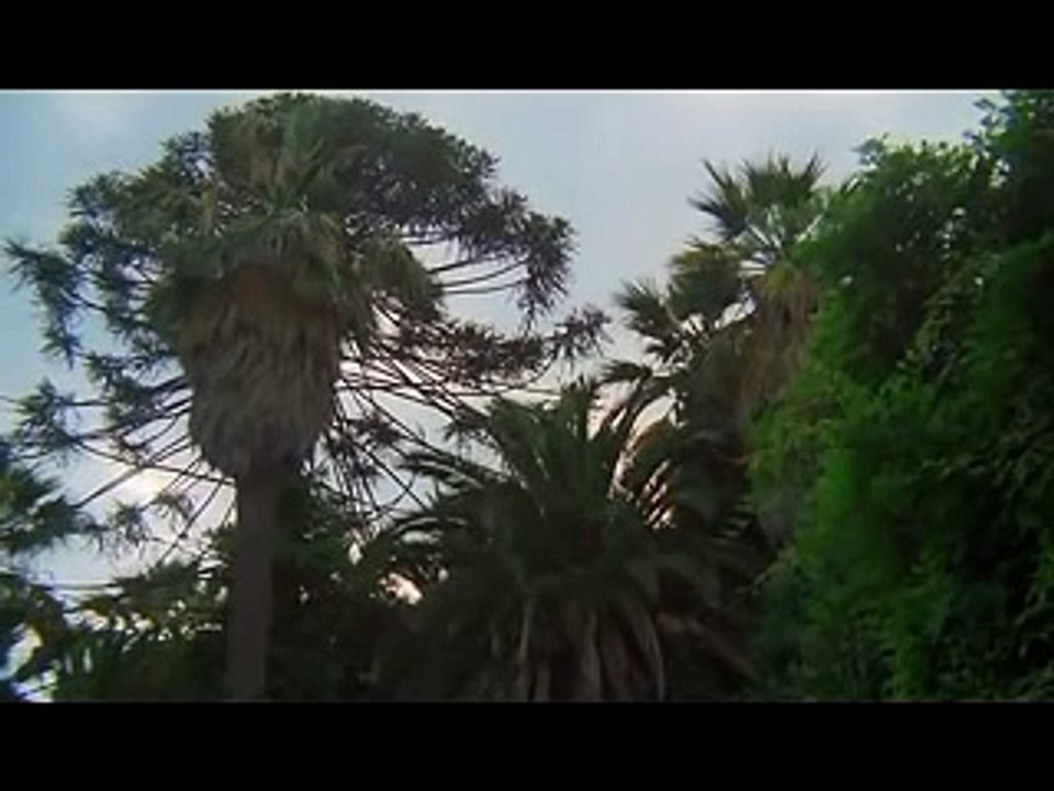 Barbed Wire Dolls 1975 Full Movie part 1/2