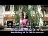 曾琳Zeng Lin-风华金嗓名典II【门前杨柳迎风摆】