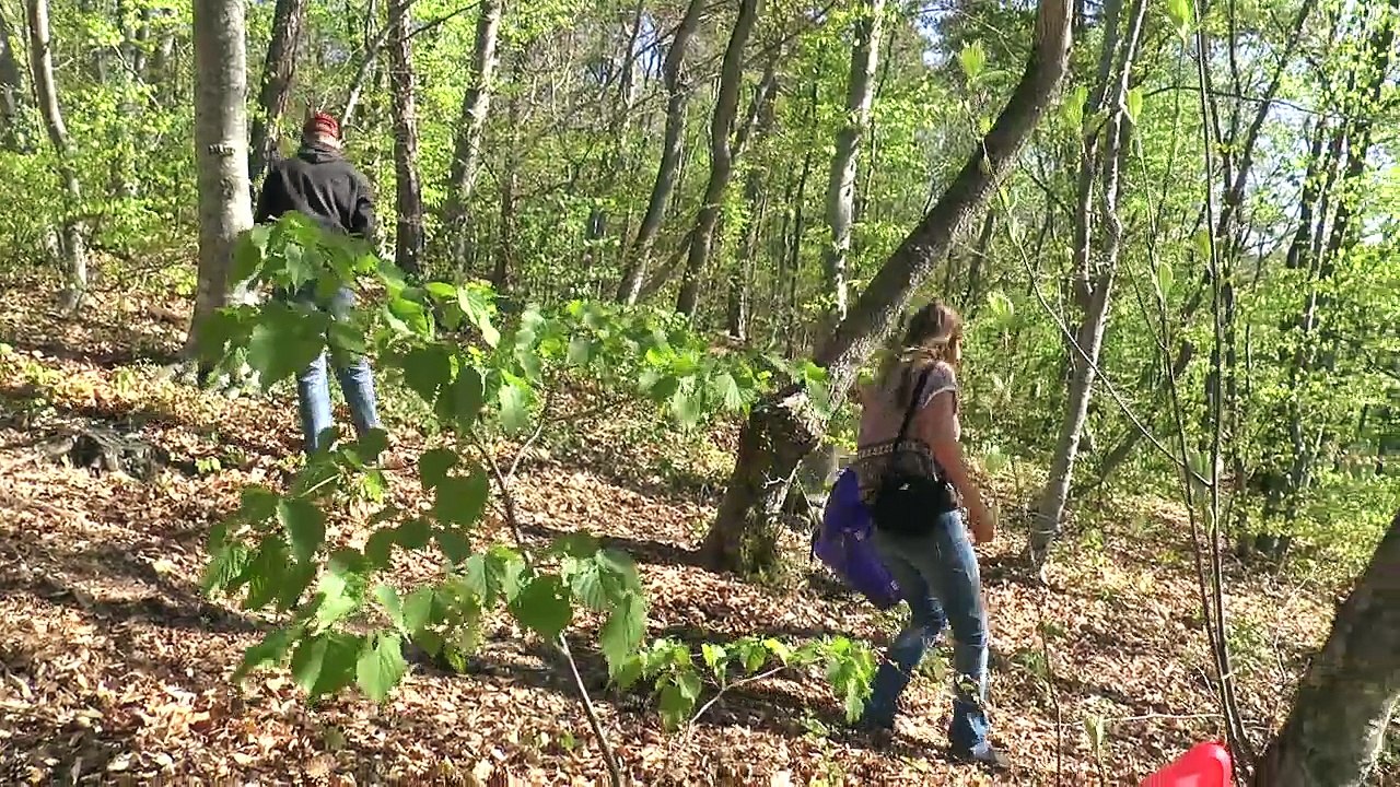 Hautes-Alpes : les familles monoparentales ont chassé les oeufs à Charance ce dimanche