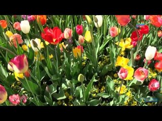 [Karaoke]Đò Ơi - Song Ca Cùng Ca Sĩ Lưu Ánh Loan