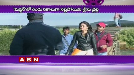 Tollywood Director Srinu Vaitla sell his Plot for Mister Movie