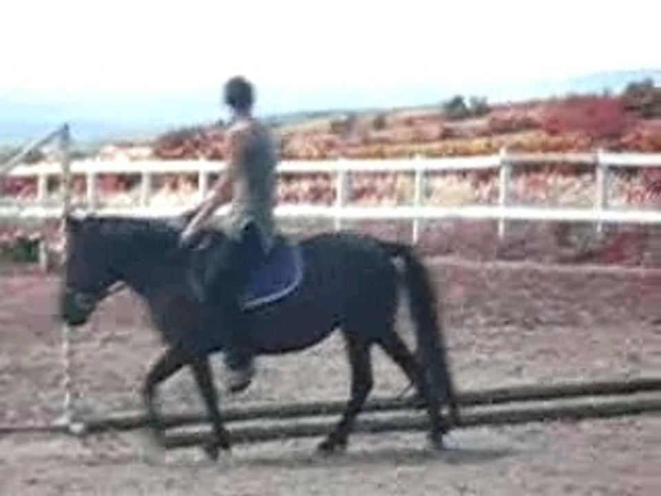 boulet sur poney (kero)