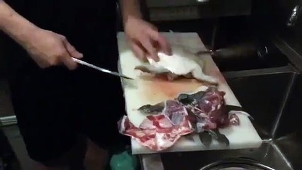 (達人)スッポンさばく1