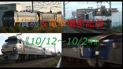 貨物&電車撮影記録《10/12〜10/24》5085レ&5090レのムド付き多め(EF200-901やEF65-2139など)、5050レにSGSコンテ、