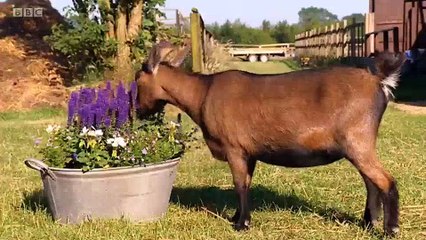 Big Barn Farm - S2E06. Gobo's Imaginary Friend