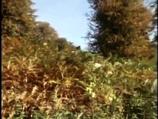 Elizabeth R Part 2 BBC 1971 The Marriage Game part 1/2