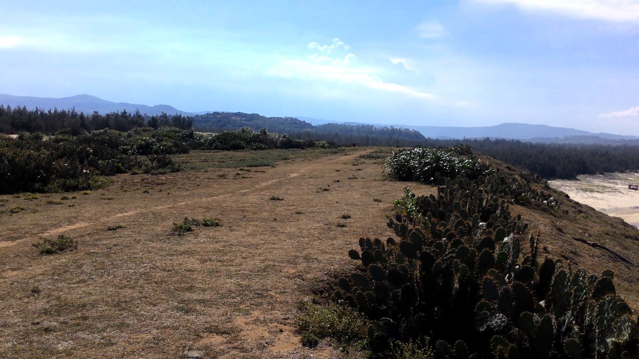 Đồi cỏ xanh - Phú Yên | Tôi thấy hoa vàng trên cỏ xanh | Viet Travel