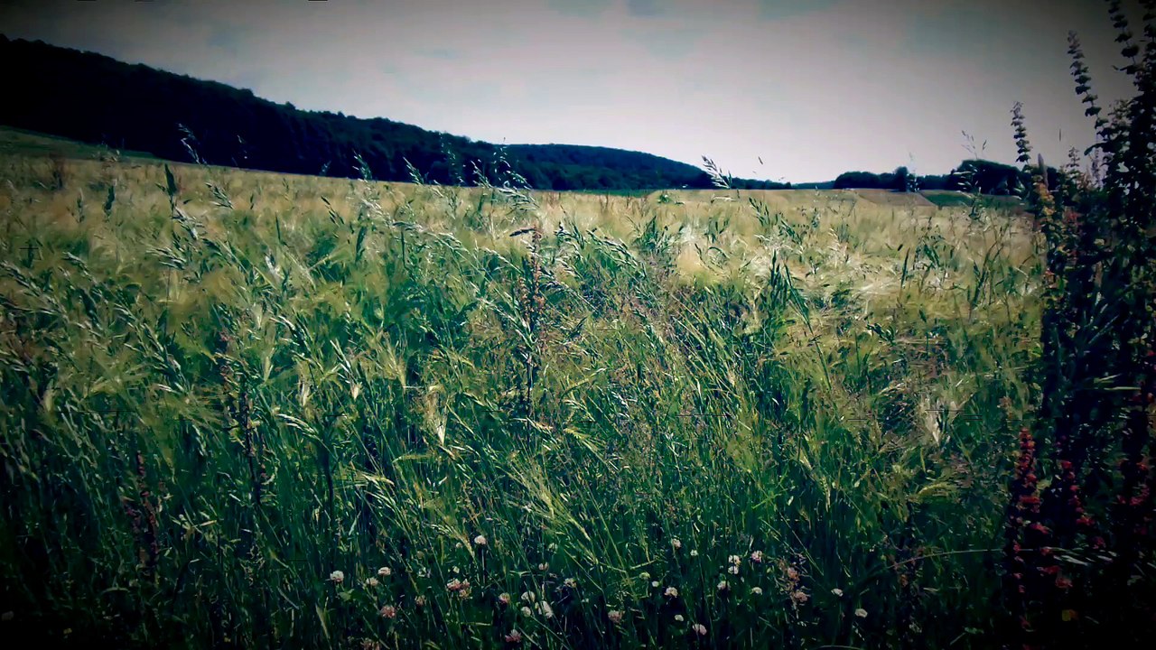 Meadowlands Full HD released by NCV