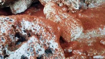 millones de pequeños cangrejos