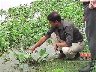 'হাওরের পানিতে তেজস্ক্রিয়তার মাত্রা স্বাভাবিকের চেয়ে কম'