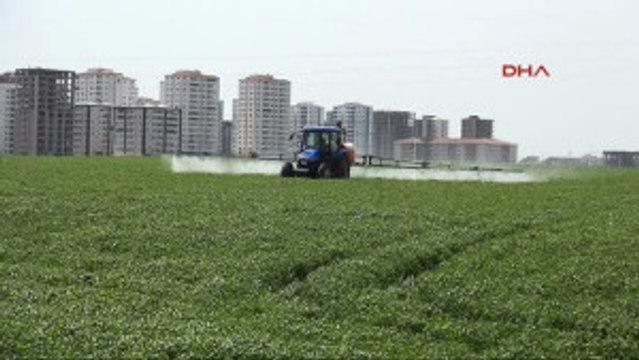 Diyarbakır Dedaş, 4 Bin Çiftçinin Bankadaki 70 Milyon Lirasına Bloke Koydu Iddiası