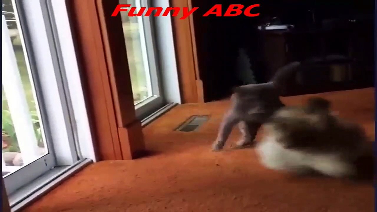 watch it till the end....