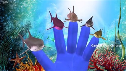 Wild Sharks Attacks Sea Divers _ Great White Shark Attacks Cruise Ship _ Big Shark Finger Family