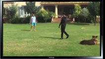 Imran Khan Is Playing Cricket With Reham Khan