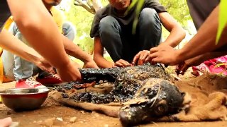 Covered in tar & unable to move, this amazing rescue saved this dog's life!
