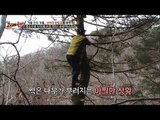 대물을 채취하다 썩은 나무가 부러졌다! [뉴 코리아 헌터] 30회 20161226