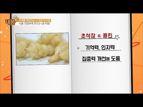 초석잠 속 ‘콜린’이 집중력에 도움을 준다! [내 몸 플러스] 38회 20161225