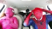Pink Spidergirl & Spiderman & Venom Dancing in the Car! Superheroes Funny Movie in Real Life!