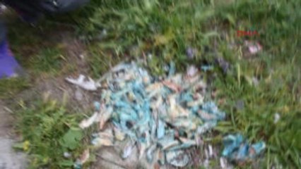 Izmir Karabağlarda Köpek Katliamı