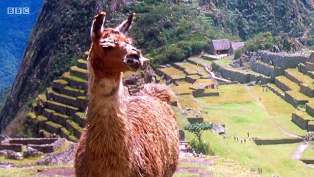 Andy's Secret Hideout - S1E14. Armadillo