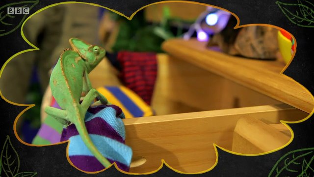 Andy's Secret Hideout - S1E19. Spiders