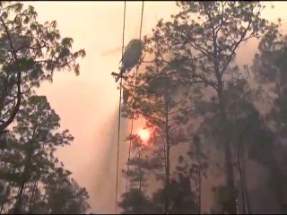 যুক্তরাষ্ট্রের ফ্লোরিডায় কয়েক হাজার একরজুড়ে ছড়িয়ে পড়েছে দাবানল