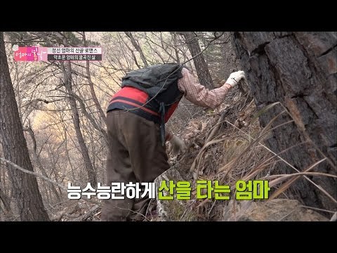 굽은 허리로 산을 오르는 엄마 [엄마의 봄날] 69회 20161225
