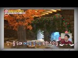 북한의 연말 핫플레이스는 찜질방! [모란봉 클럽] 66회 20161224