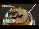 장 건강에 특효! 말벌을 직접 넣어 만든 노봉방주! [만물상 172회] 20161225
