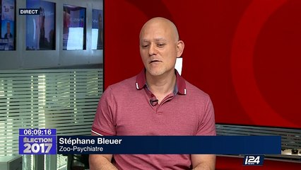 Le premier "bar à chiens" en Europe ouvre à Lille